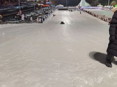 -沈阳奥体冰雪嘉年华