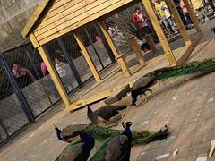 -长白岛森林公园