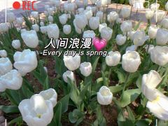 -石家庄市植物园