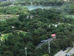 -君悦酒店·乐厨·高空自助餐(青年大街店)