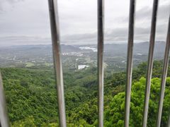 -呀诺达热带雨林