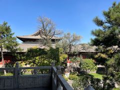 -善化寺