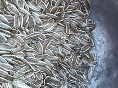 -煲来饱去冷水鱼