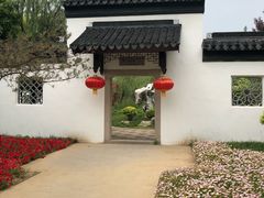 -武清南湖绿博园