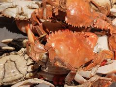 -一方渔歌蒸汽海鲜自助(文化路万达广场店)