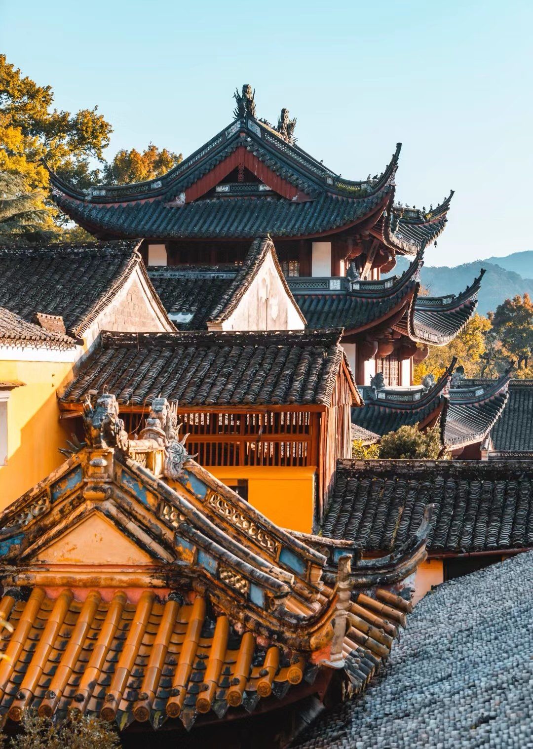 0元玩转这座城
周末访天童寺
 
晨光熹微,我踏入宁波天童寺