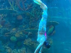 -青岛嘉年华主题乐园