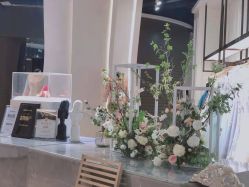 -南京宝娜嫁衣婚纱礼服馆(中央路店)