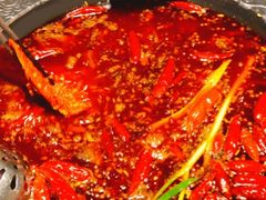 -小牛叔鲜切牛肉·火锅·烤肉自助(公济桥路店)