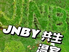 -精绝七日-新疆尼雅遗址数字大展【拉法耶文化艺术中心】