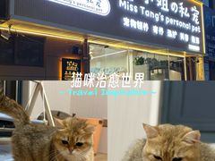 -唐小姐の私宠·宠物洗护美容·撸猫馆·购宠(周浦万达旗舰店)