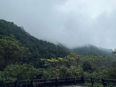 -西岭雪山大飞水景区