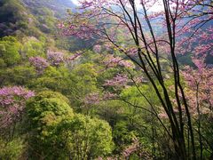 景点-老君洞旅游度假区
