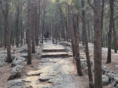 -云龙山