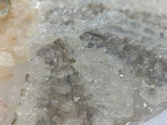 -成发鱼生