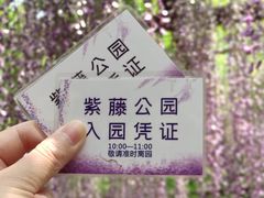 -嘉定紫藤园