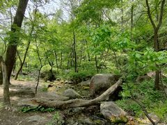 -玉渡山自然风景区