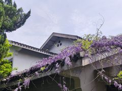 -无锡梅园公园