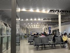 -合肥新桥国际机场-航站楼