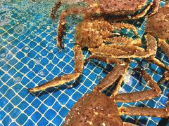 -三亚火车头万人海鲜广场