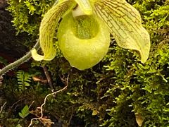 -国家植物园南园