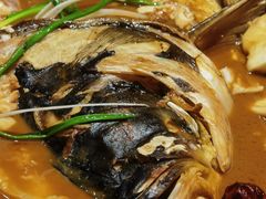 -大碗居·烤鸭·鱼头泡饼(天坛东门店)