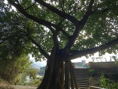 -碧水湾温泉