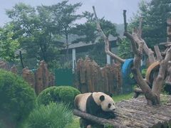 -大连森林动物园