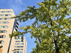 -四川大学(华西校区)