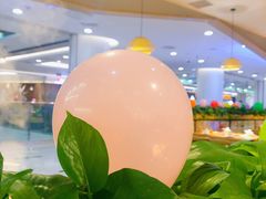 -守柴炉烤鸭(科华中路王府井店)