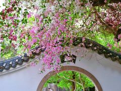 -深圳国际园林花卉博览园