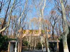 -灵谷景区