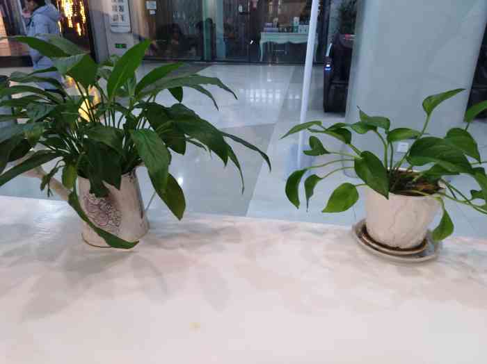 小婷苑(果子好喝)(新天地店)-"在新天地商场的一