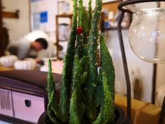 -慕咖啡(宽窄巷子店)