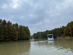 -上海海湾国家森林公园