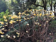 -徐家汇源景区-衡山公园