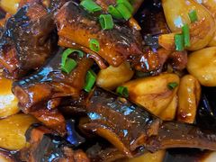 鳝鱼-小春农家乐