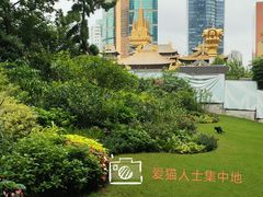 -静安公园(静安寺街道)