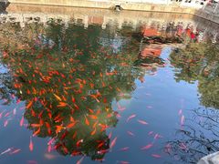 -国家植物园