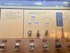 -国家自然博物馆