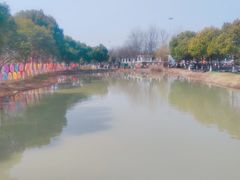 -中国扬子鳄村