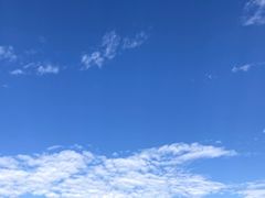 -厦门园林博览苑