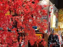 -白石的深夜食堂(济南万象城店)