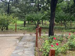 -古塔公园