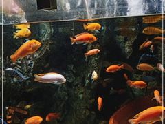 -太平洋海底世界博览馆·展览厅