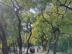 -荔湾湖公园