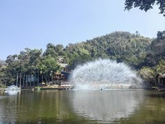 -西双版纳原始森林公园