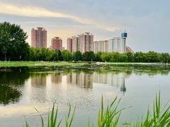 -莲花池公园
