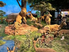 -国家自然博物馆