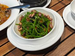 凉拌水性杨花-熙楼(翠湖店)